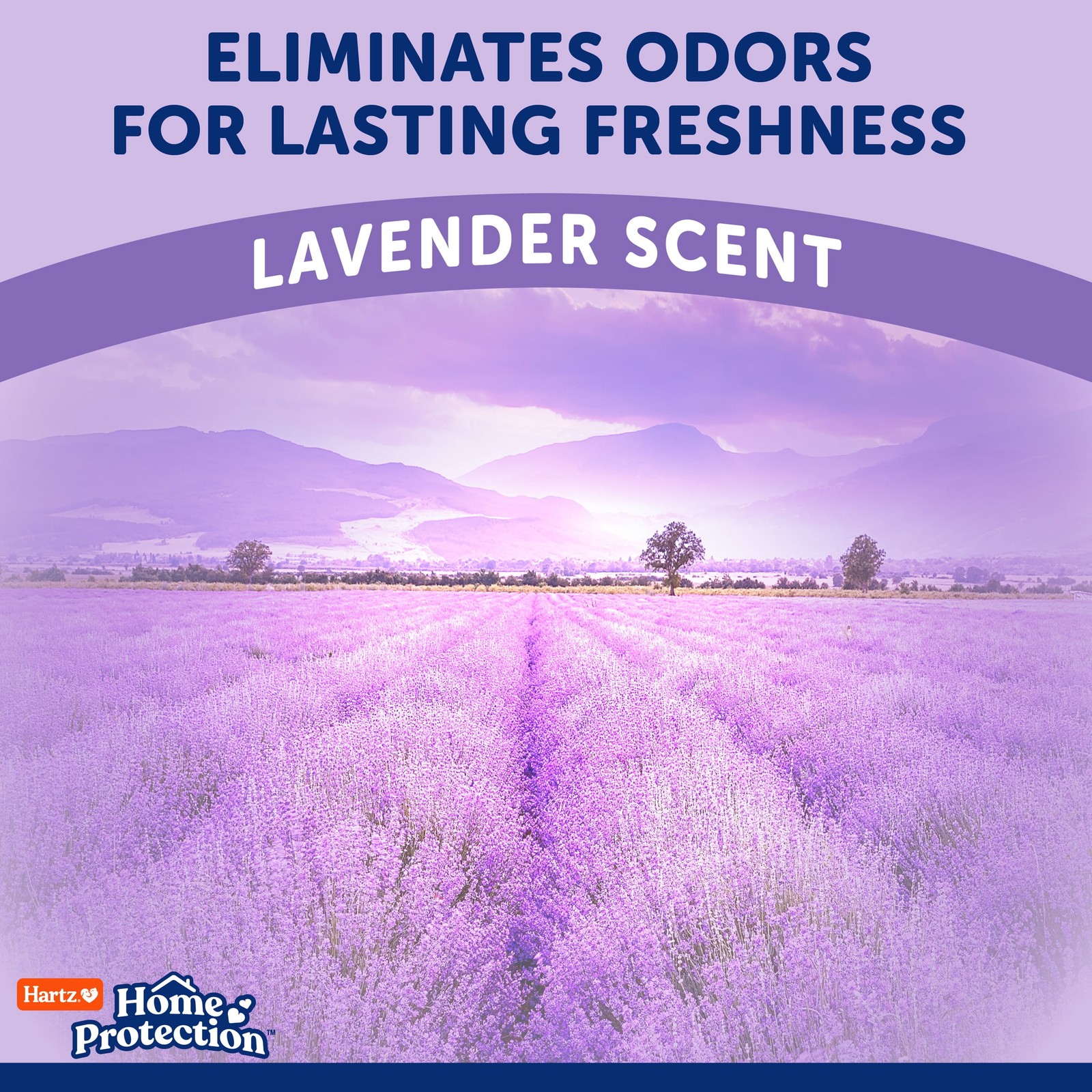 (3 pack Home Protection Super Absorbent Odor Eliminating Lavender Scented No