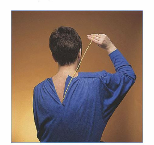 Ableware Cord Type ZIPPER PULL Arthritis Dressing Aid Shirt Zip Home Care Maddak