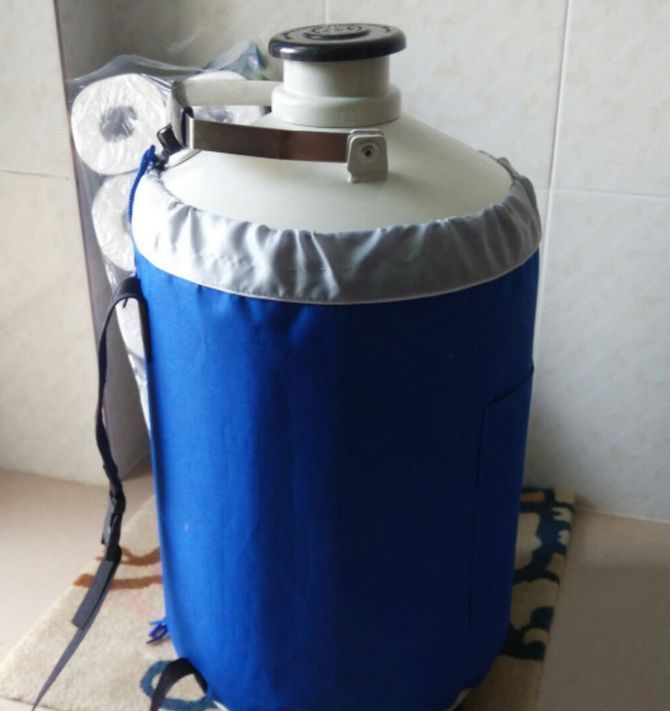 Good!! YDS-3 3L Cryogenic Liquid Nitrogen Container+strap+Pail+free shipping