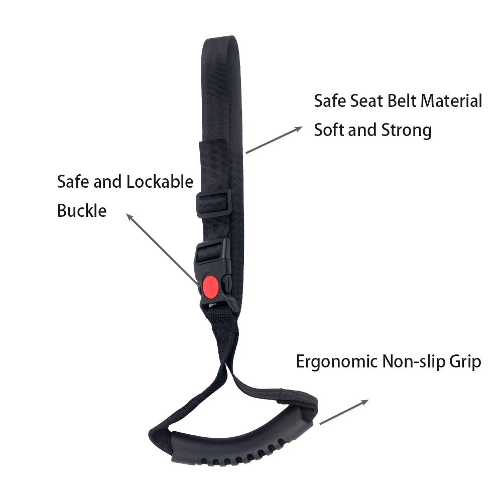 ZipSeven Car Handle 2 Piece Portable Automotive Assistance Mobility Aid