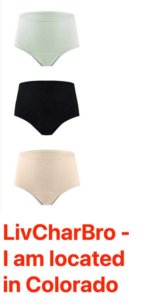 3-Pack LARGE High Waist Incontinence Underwear for Women 6 Layer Absorbent