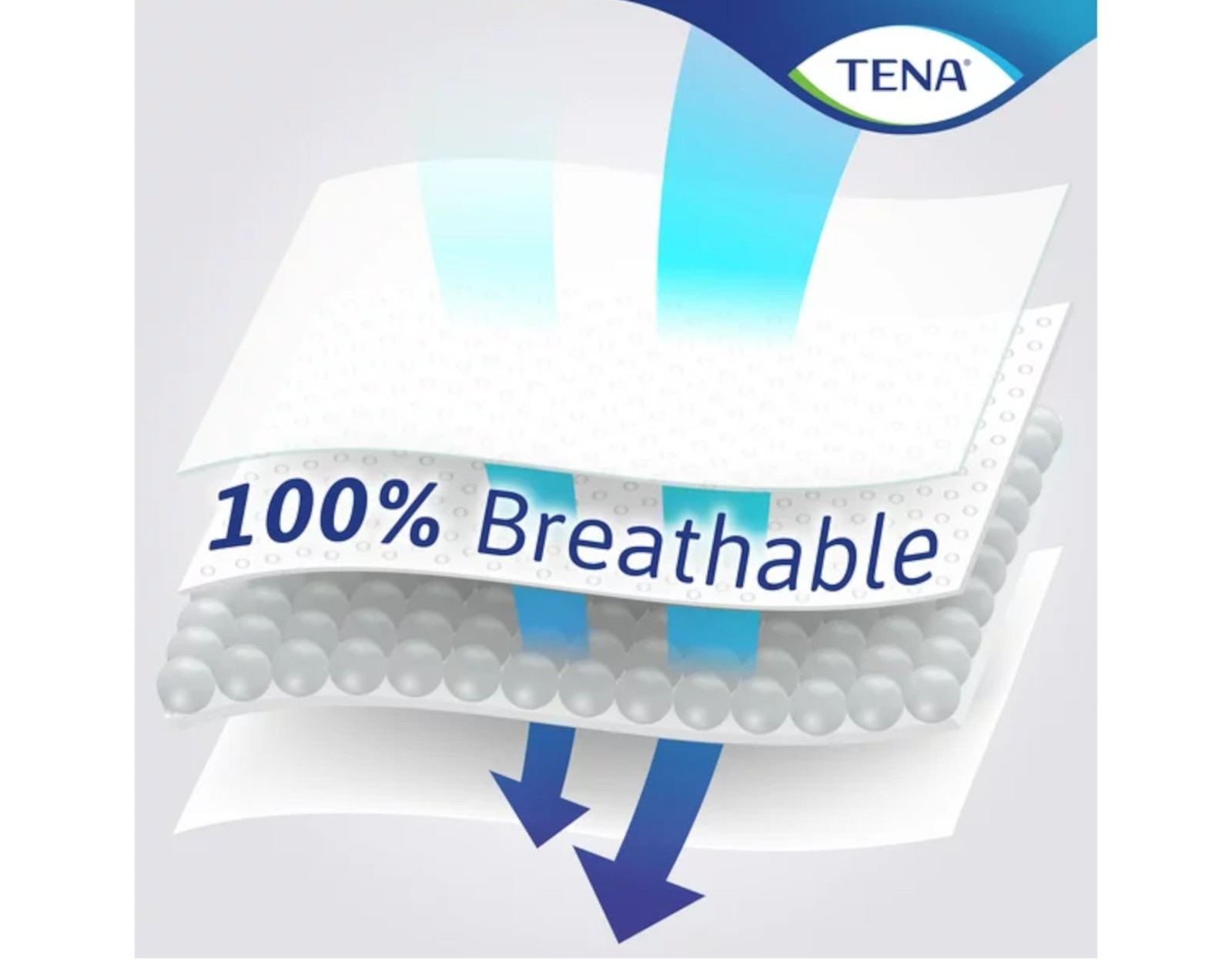 3 Pack of Tena Intimates Ultra Thin Light Incontinence Pad Long, 24 Count