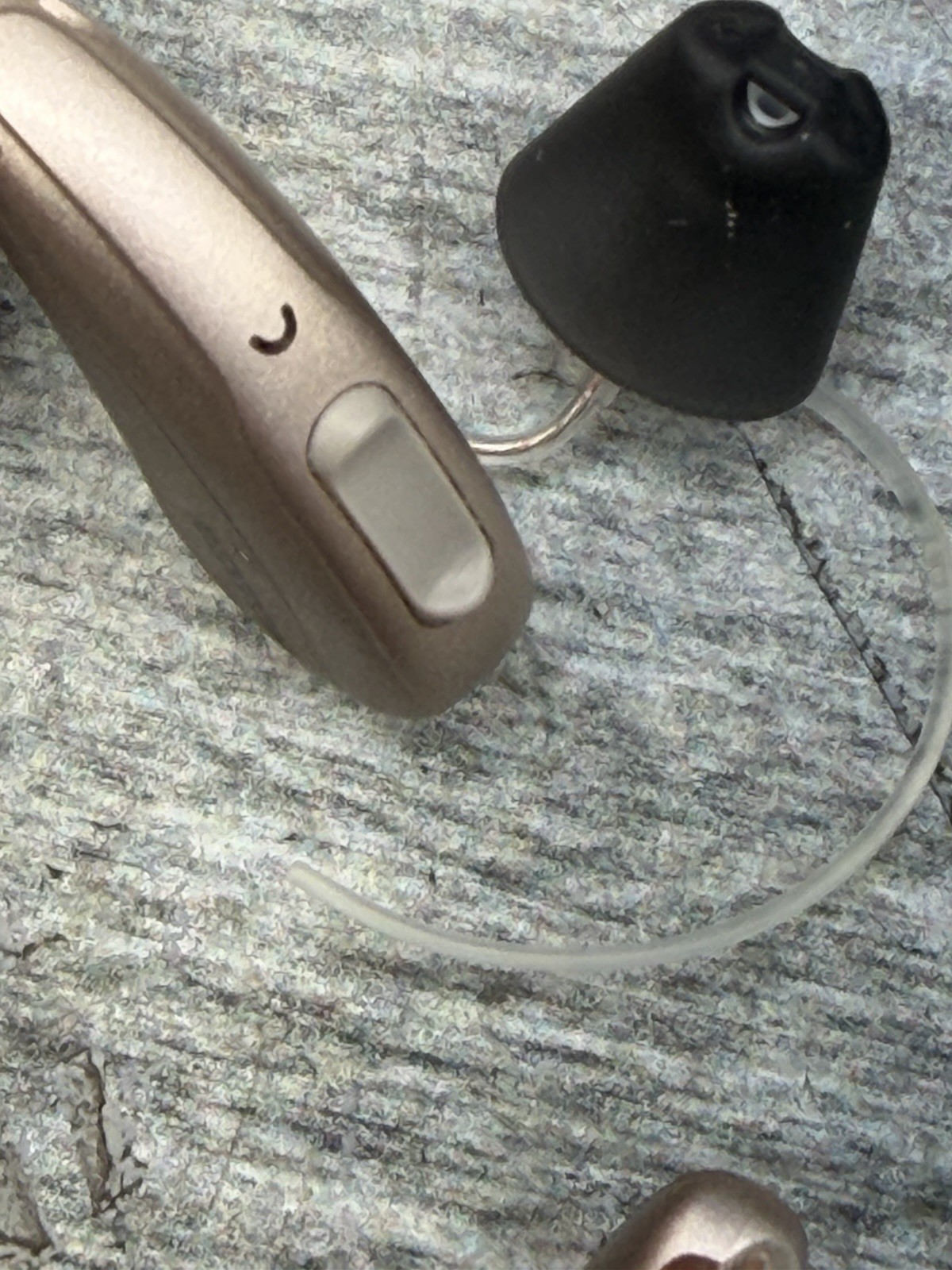 Rexton Bicore C R LI Hearing Aids w/ Connexx Travel Case and Charger