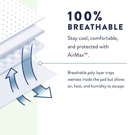 Prevail Underwear Lg Heavy Absorbency Pull On w/ Tear Away Seams