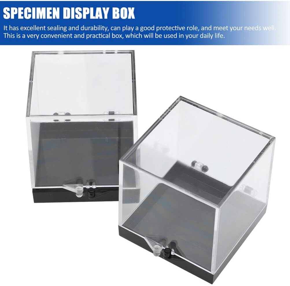 12 Pack Mineral Specimen Storage Boxes Clear Plastic Specimen Display Cases 1.37