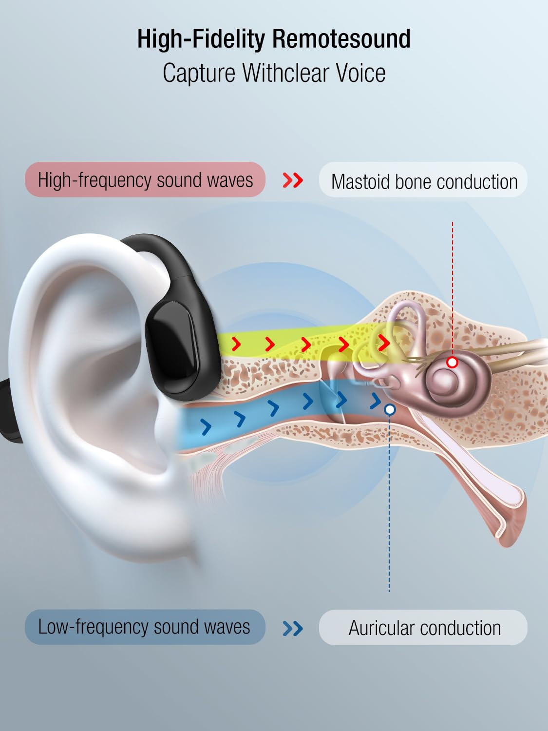 BD-F2H Bone Conduction Hearing Amplifier for Seniors, 5-Level Memory Volume, IPX