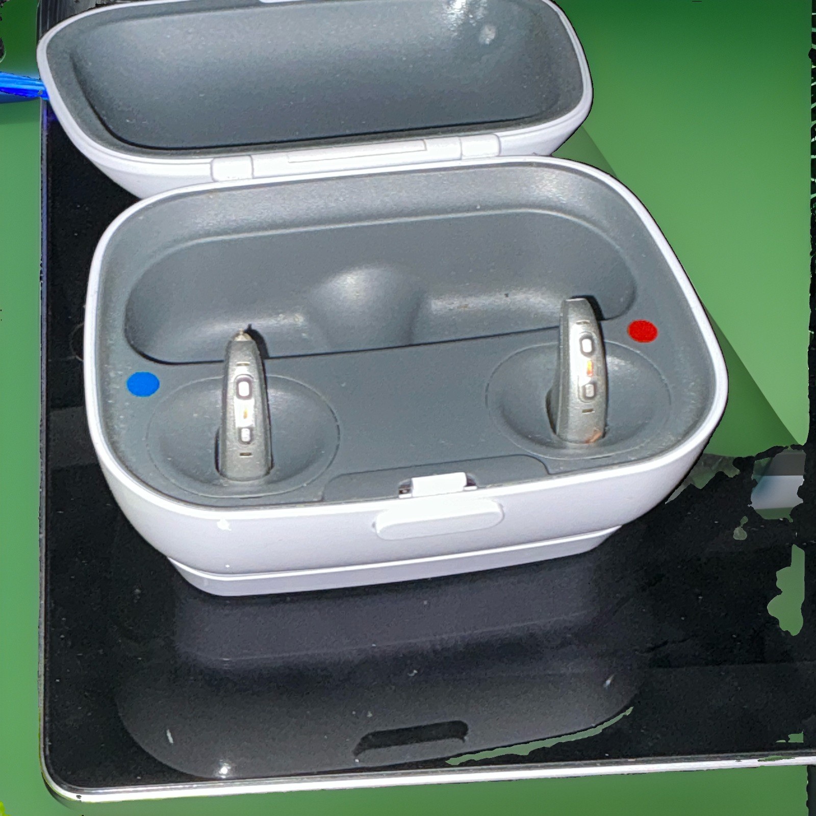 Kirkland Signature Premium 10.0T RIC Bluetooth Telecoil Rechargeable Silver