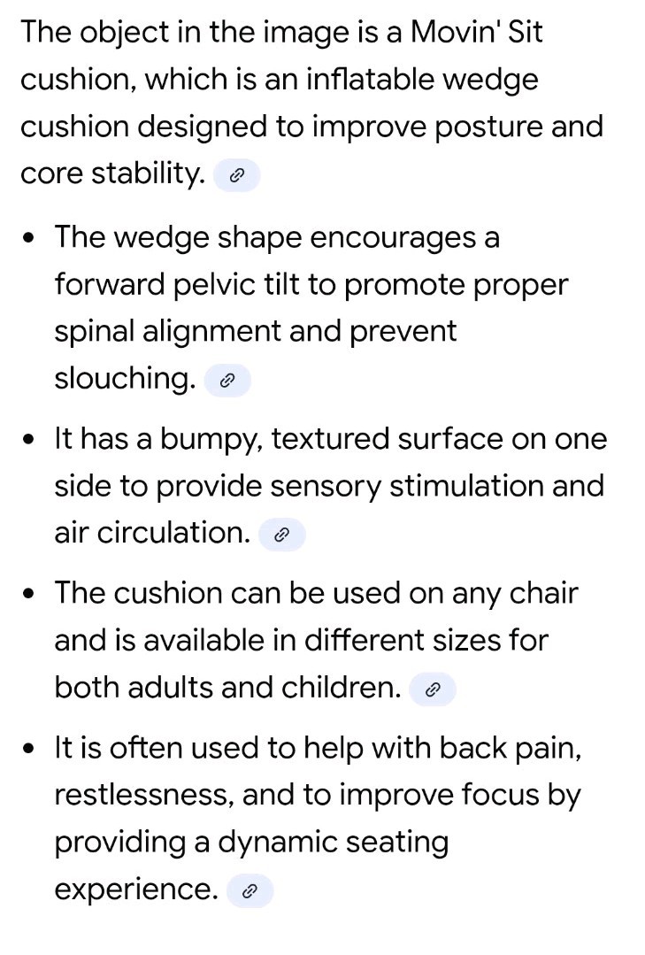 Gymnic Movin’ Sit Cushion Inflatable Seat Cushion About 14 x 14 Corrects Posture