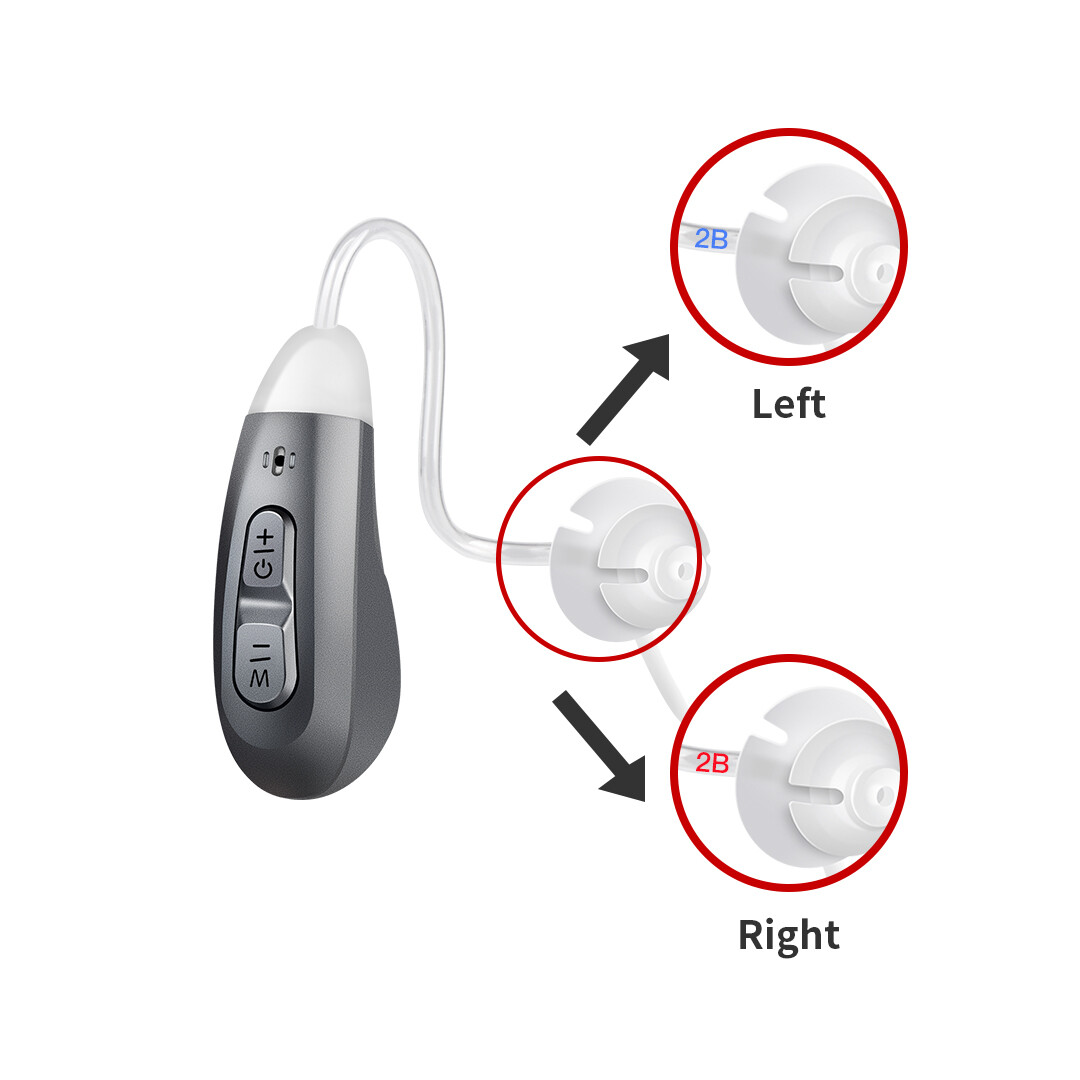 Rechargeable Hearing Aids Noise Reduction BTE Digital Hearing Amplifier USA