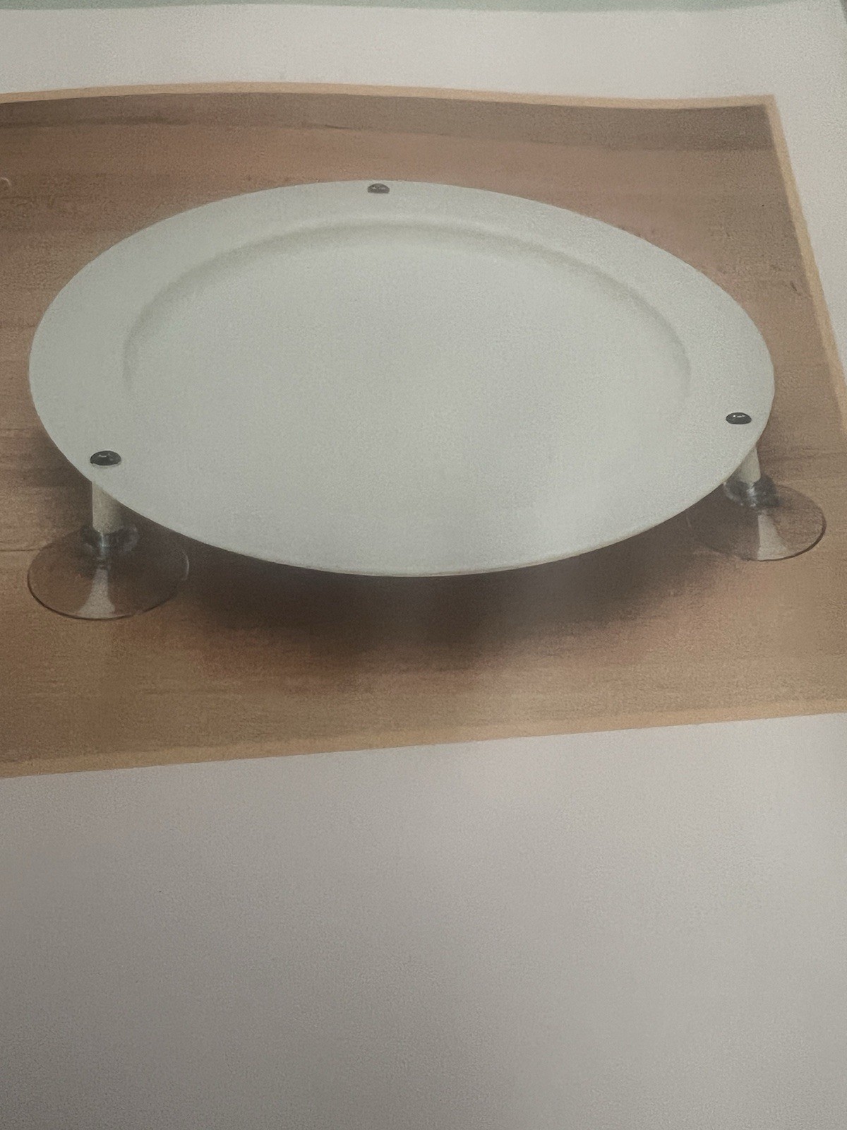 Inner Lip 9” Plate w/Suction Cups by Maddak SP Ableware – Sandstone #745610050