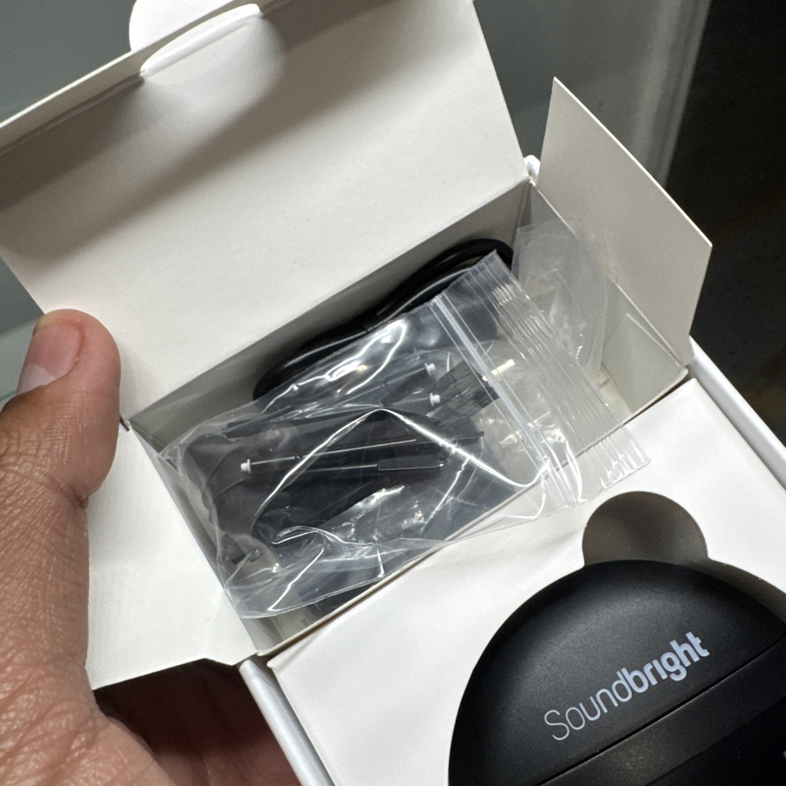 Soundbright Mini Rechargeable ITE Hearing Aid, Black, Charging Case for L/R