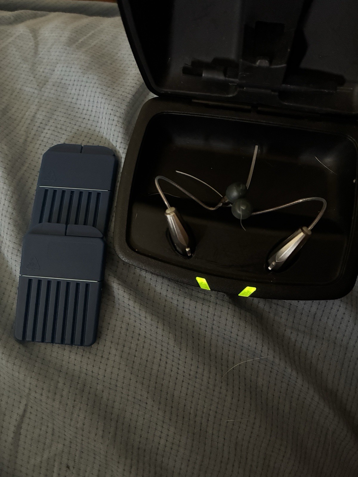Pair of Silver Hearing Aids Receivers in Canal (RIC) for Both Ears with Case