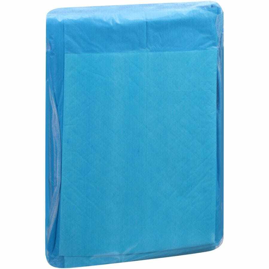 Attends Dri-Sorb Underpad 23” x 24” -Bag of 10 #UFS-230