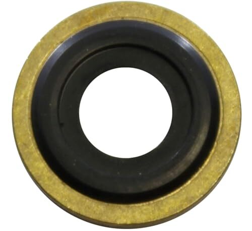 Yoke Washer Brass/Viton O-Ring Seals Gasket for use with Oxygen Regulators 20 pk