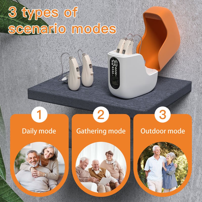 Rechargeable Hearing Aids 16-Channel with Noise Cancellation, BTE Style