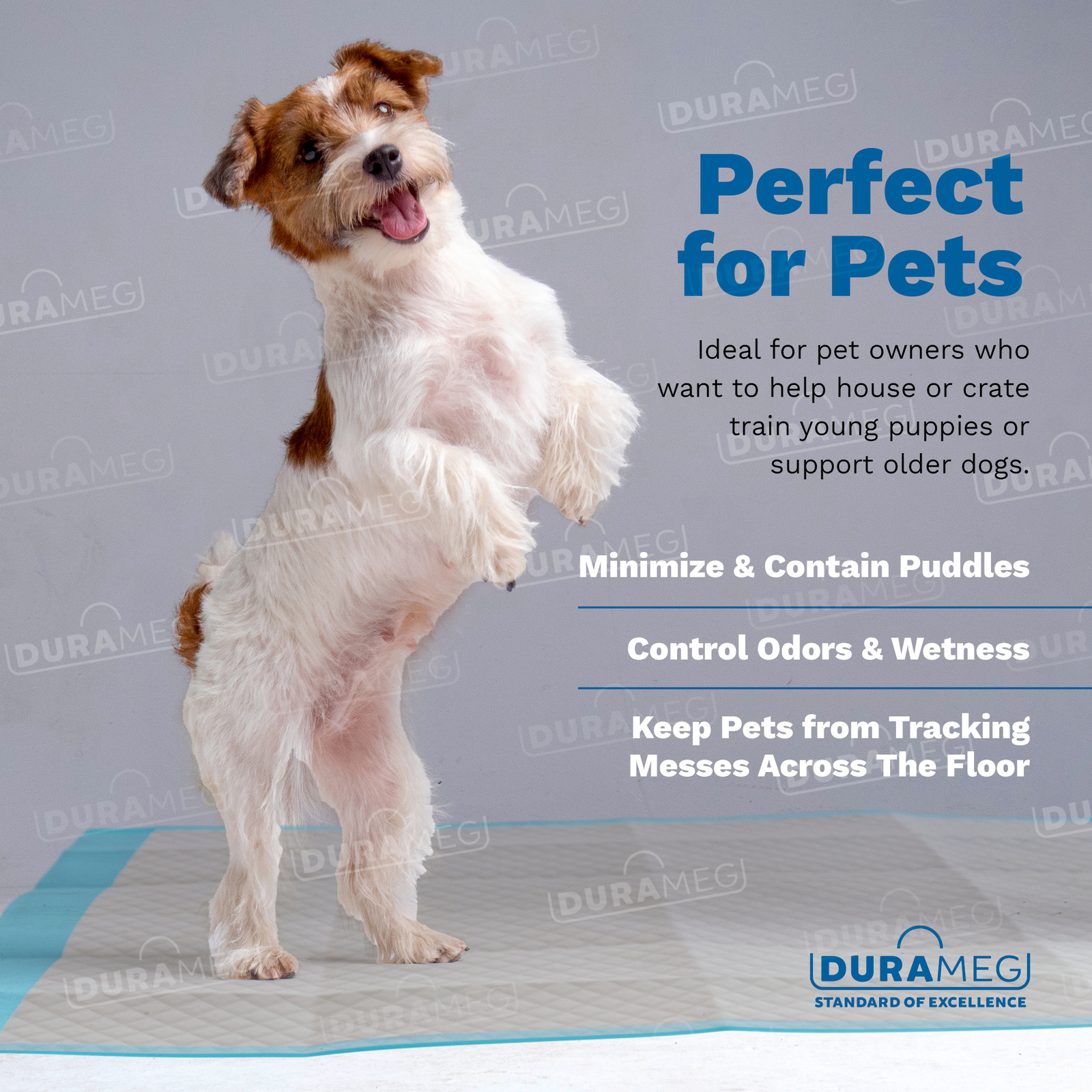 Chux Pads [120-Pads] Underpads 23×36 Puppy Pads | Bed & Pee Pads | Chucks Pad