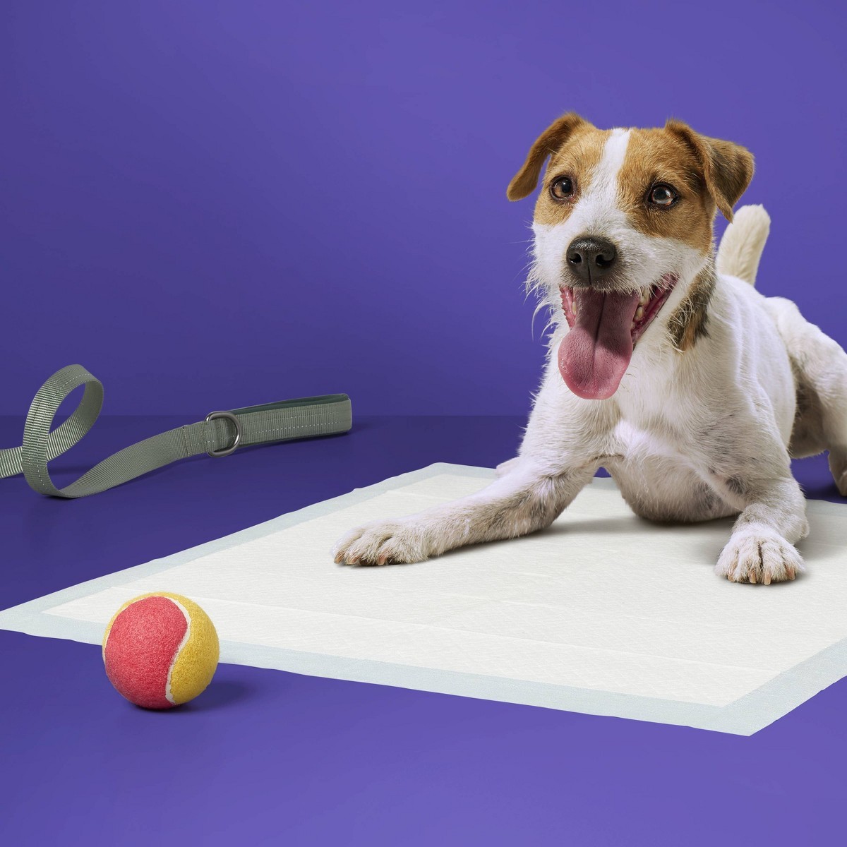 Puppy and Adult Dog Extra Absorbency Heavy Duty Training Pads – L – 25ct
