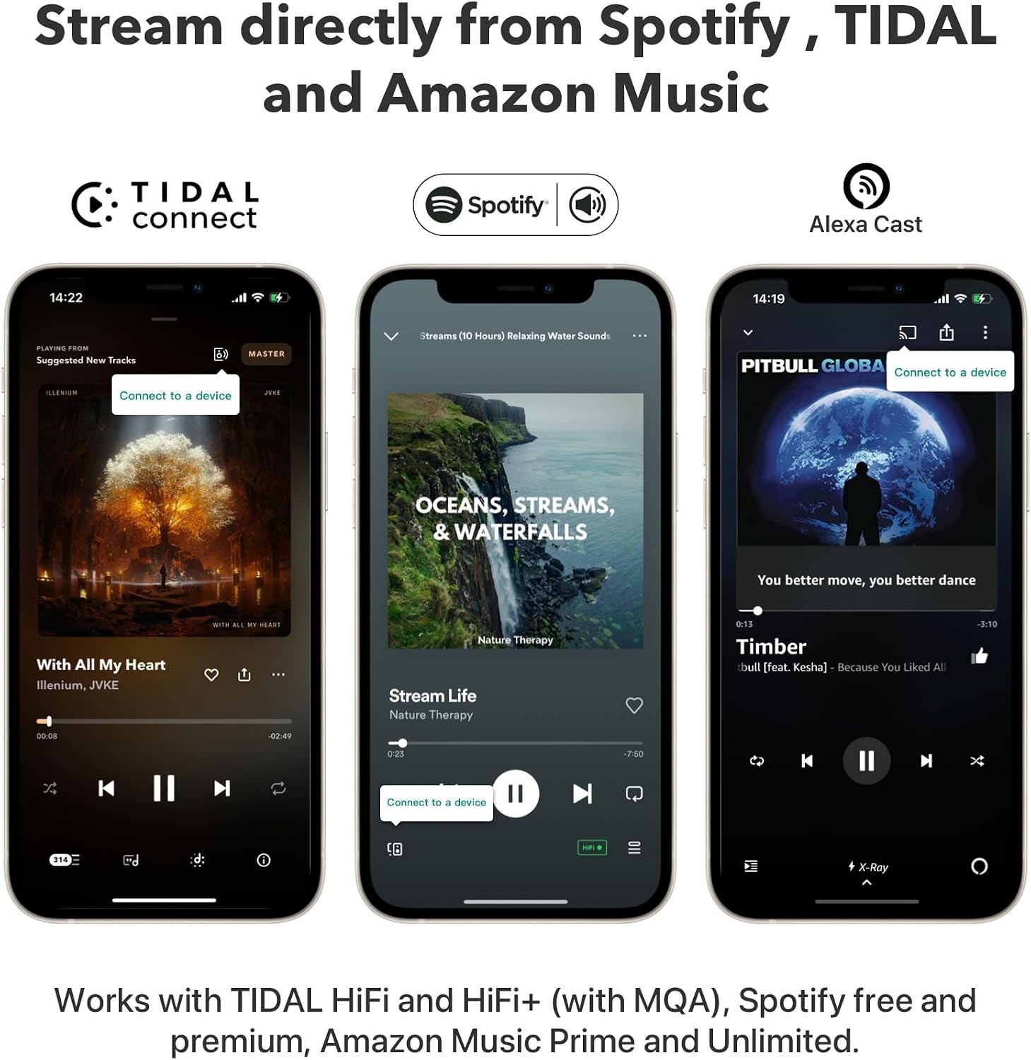 Pro Plus Music Streamer – Hi-Res Streaming & Smart Control