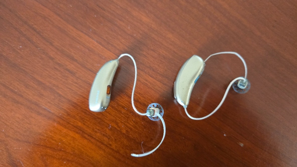 Phonak Audéo Paradise P90 R@L/ Charger Bundle