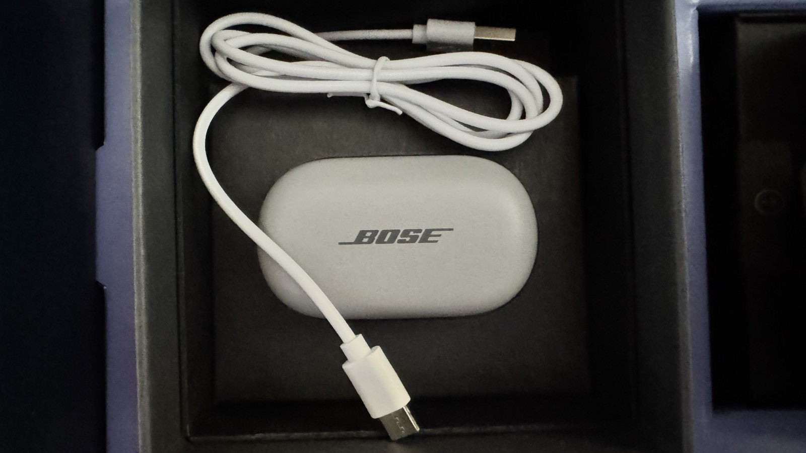 Lexie Hearing Club B2 Self Fit Aids by Bose Rechargeable Gray Bundle Edition