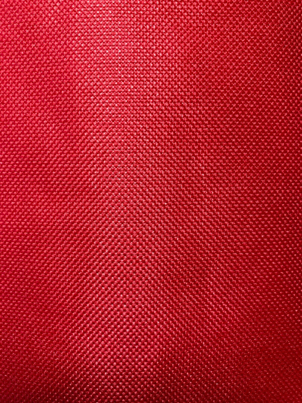 Down Syndrome Medical Alert Seat Belt Cover