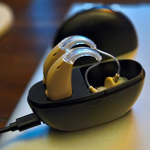 Hearing Aids with Noise Cancelling and Volume Control, with Charging Case