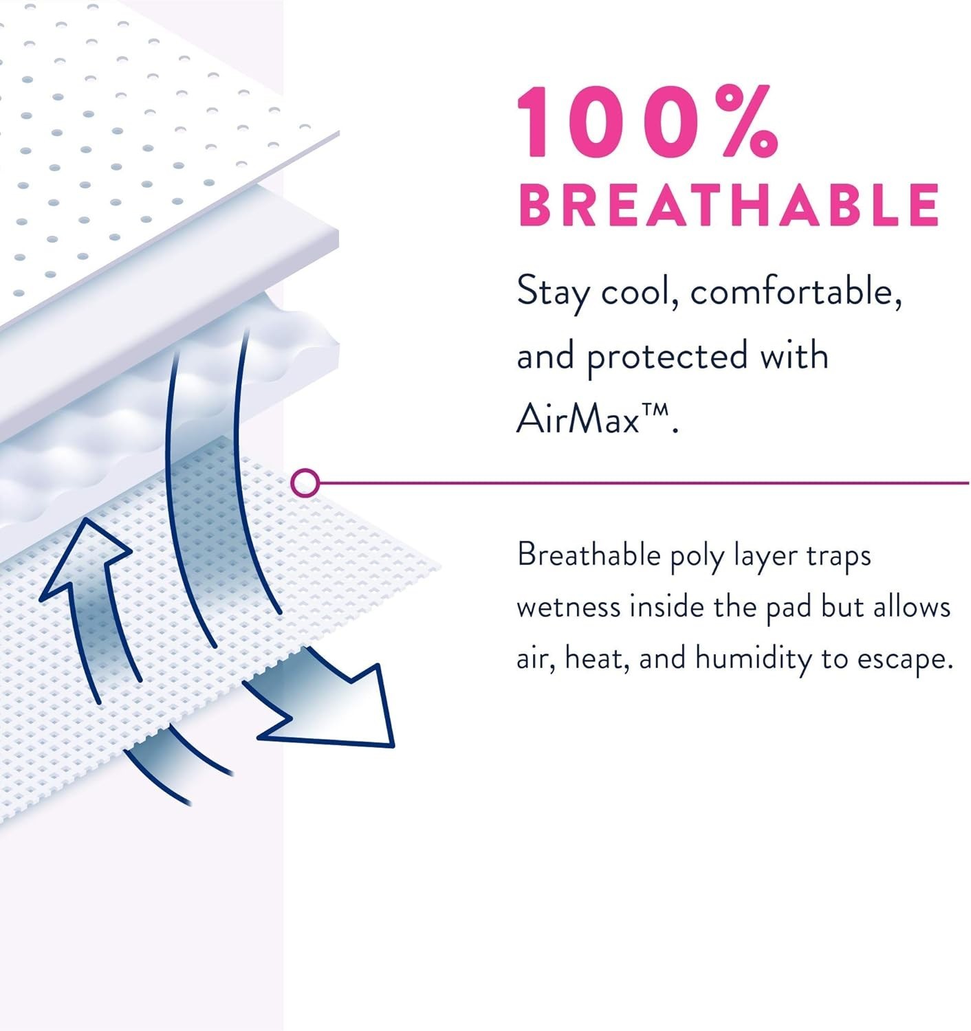 Prevail Daily Underwear Disposable Underwear for Women with Maximum Absorbency