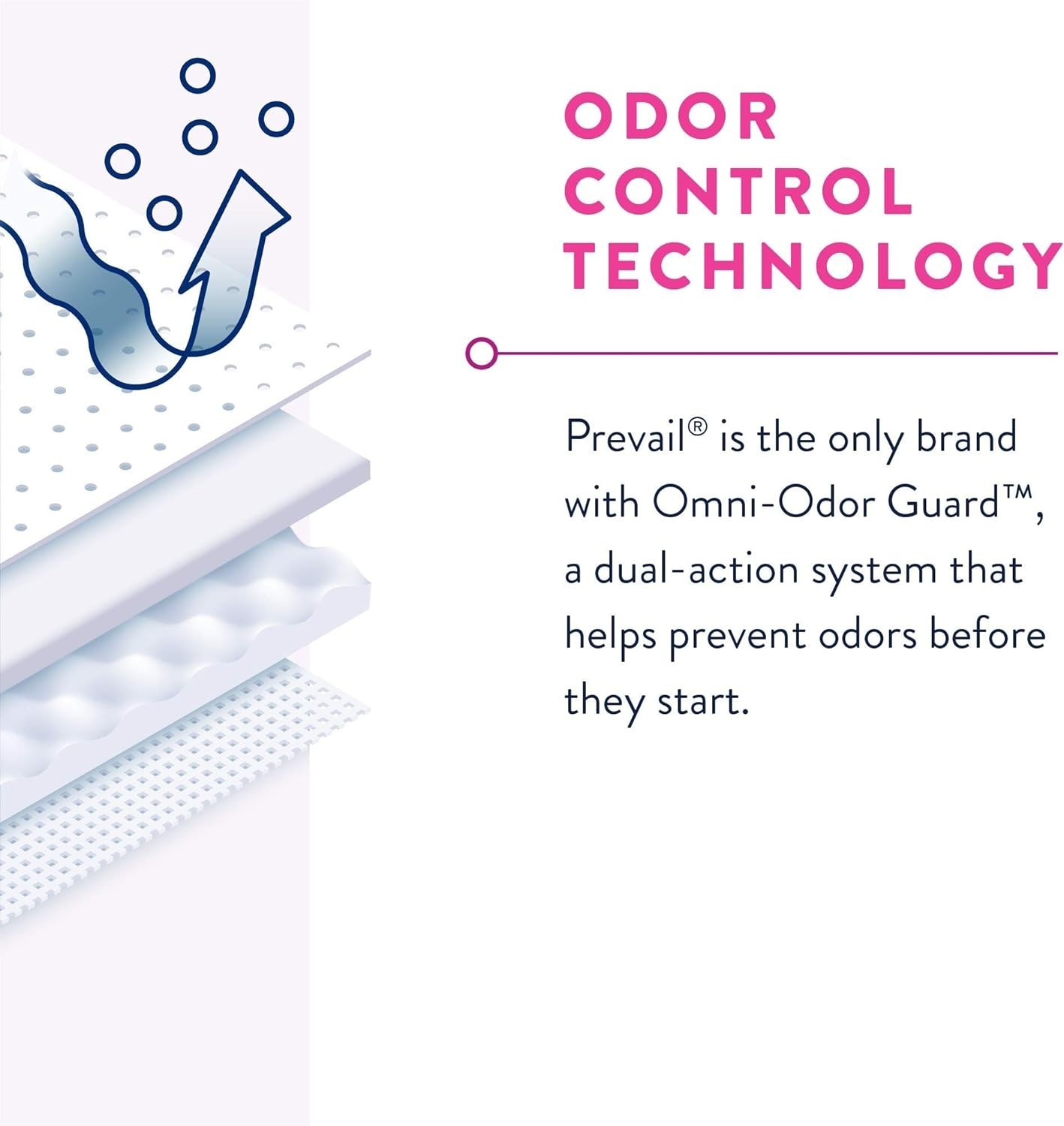 Prevail Daily Underwear Disposable Underwear for Women with Maximum Absorbency
