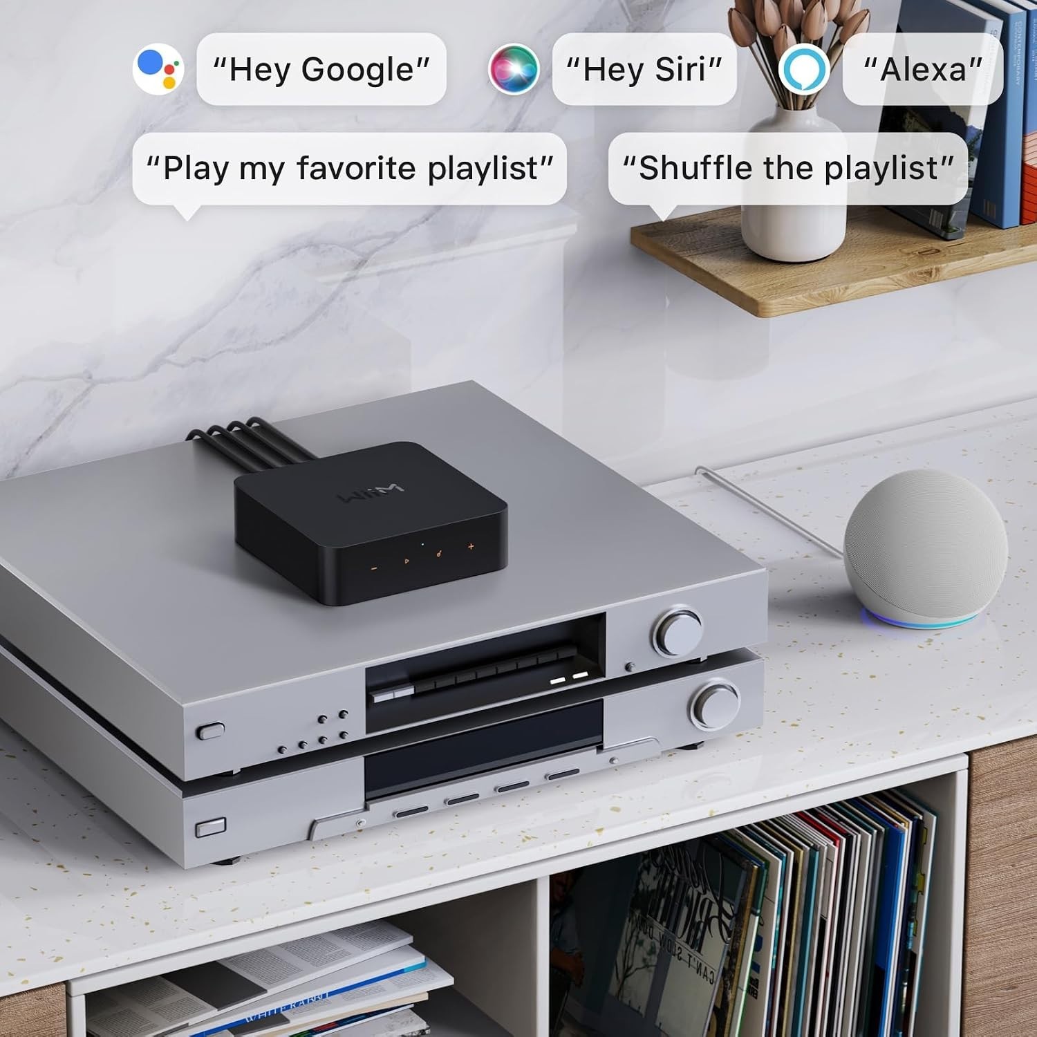 Pro Plus Music Streamer – Hi-Res Streaming & Smart Control
