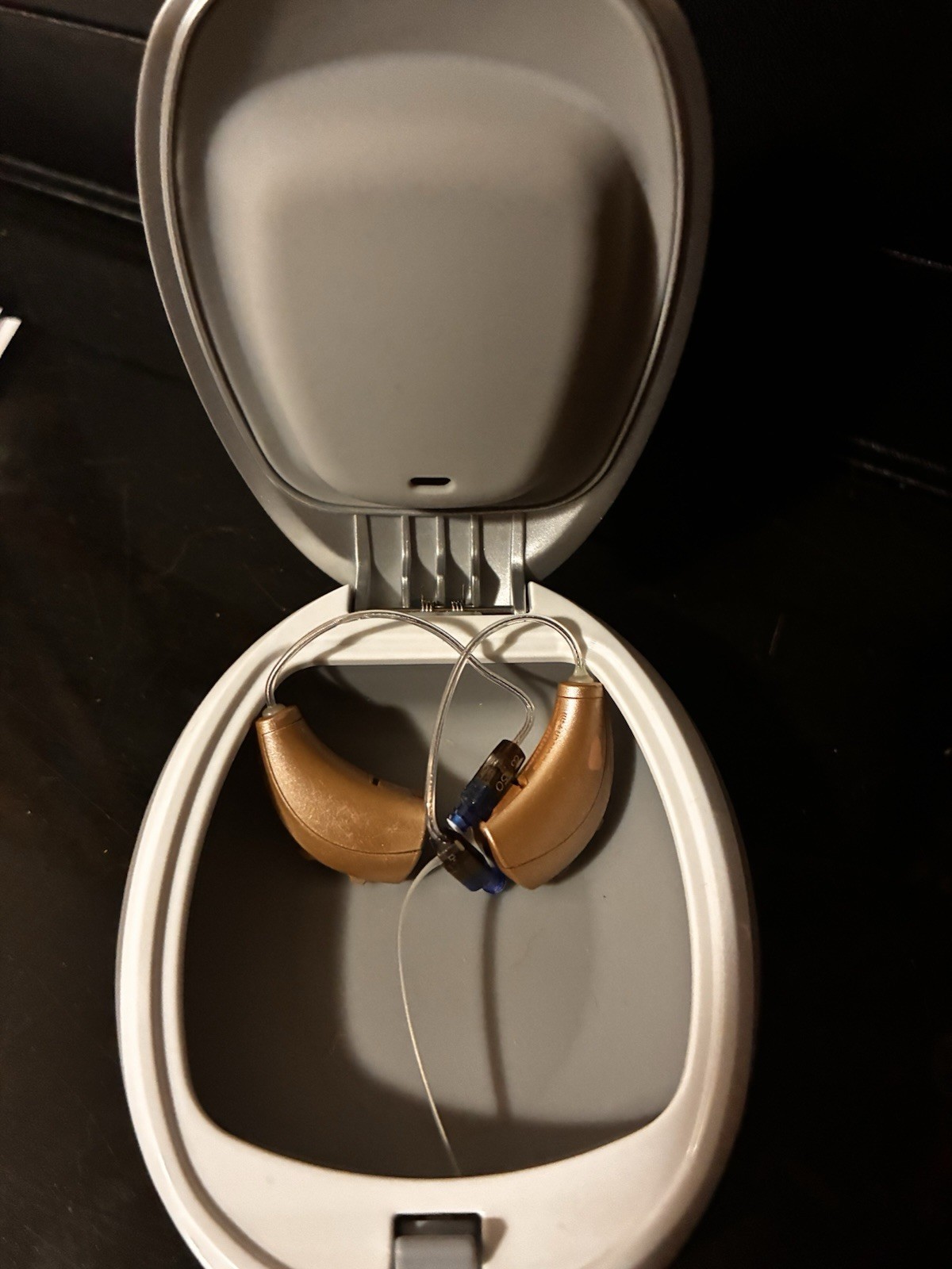 Starkey Microtech Summit I1000 RIC Hearing Aids