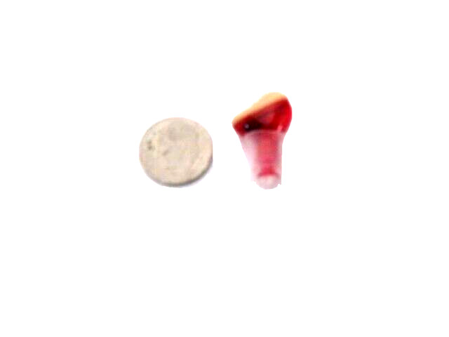 DIGITAL HEARING amplifier mini in ear 3 modes/programs. size 10 battery