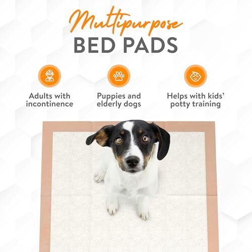 Super and Ultra Absorbent Disposable Bed Pads 30″ X 36″ Pack of 50