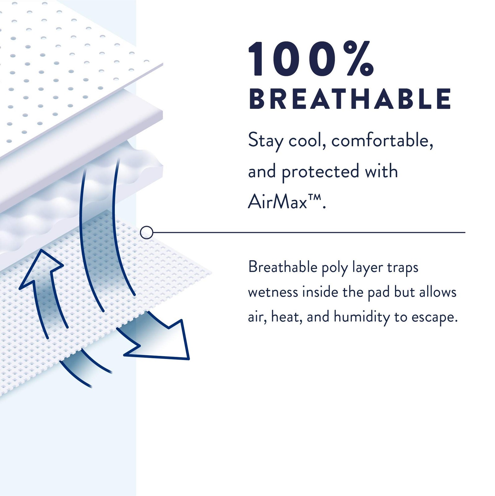 Prevail Incontinence Protective Underwear for Men, Maximum Absorbency, Large,…